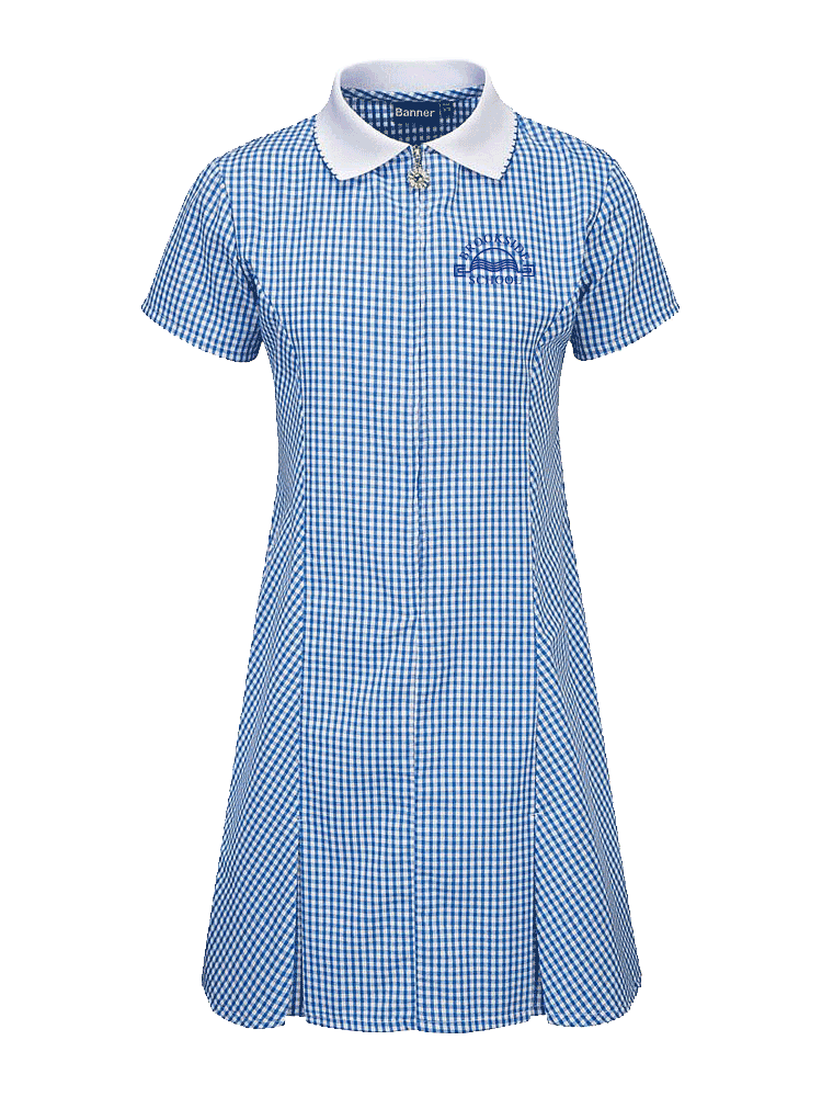 Gingham Dress – schooluniformsolutions